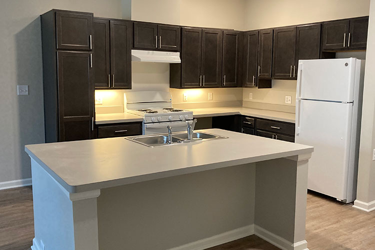 lake huron woods kitchen photo